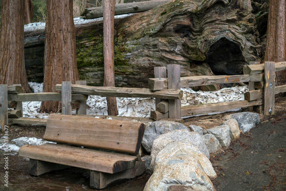 Wooden bench in Sequoia National Park, California, USA Wooden bench in Sequoia National Park, California, USA