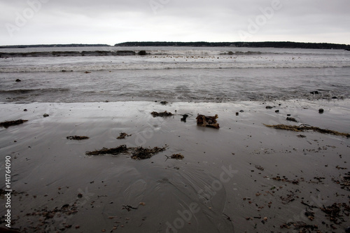 Shoreline on Cold Grey Day in Maine © Nikki