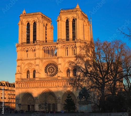 cathédrale Notre-Dame de Paris