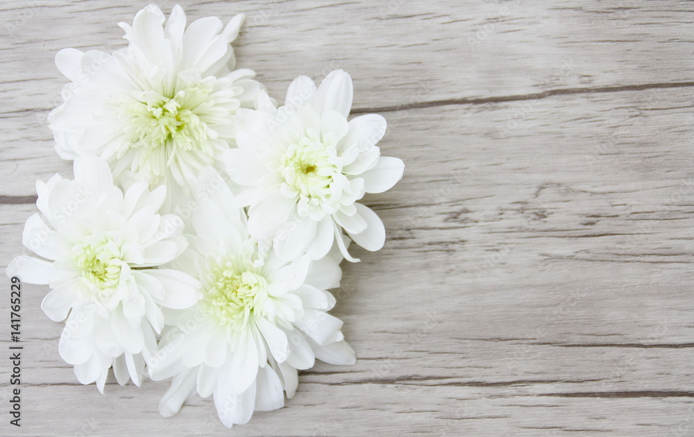 Obraz premium marguerites blanches sur fond bois,carte fond