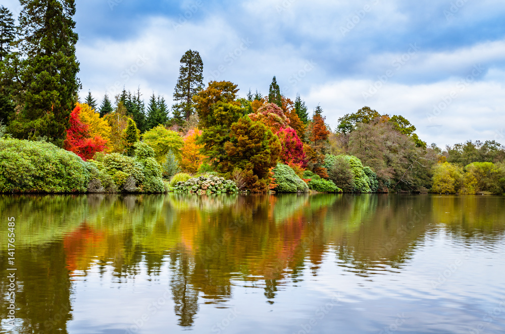 Sheffield Park and Gardens Landscape late in the autumn Sheffield Park and Gardens Landscape late in the autumn