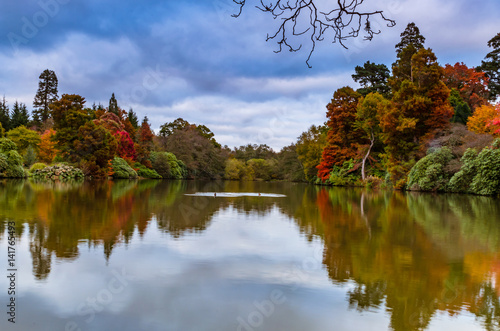 Sheffield Park and Gardens Landscape late in the autumn