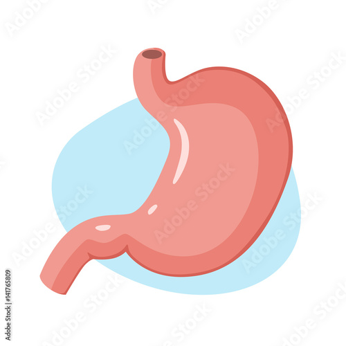 Stomach icon. Human internal organs. Vector illustration.