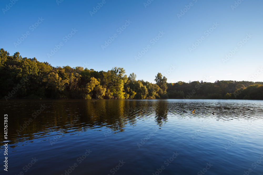 Obraz premium Picturesque forest and the river