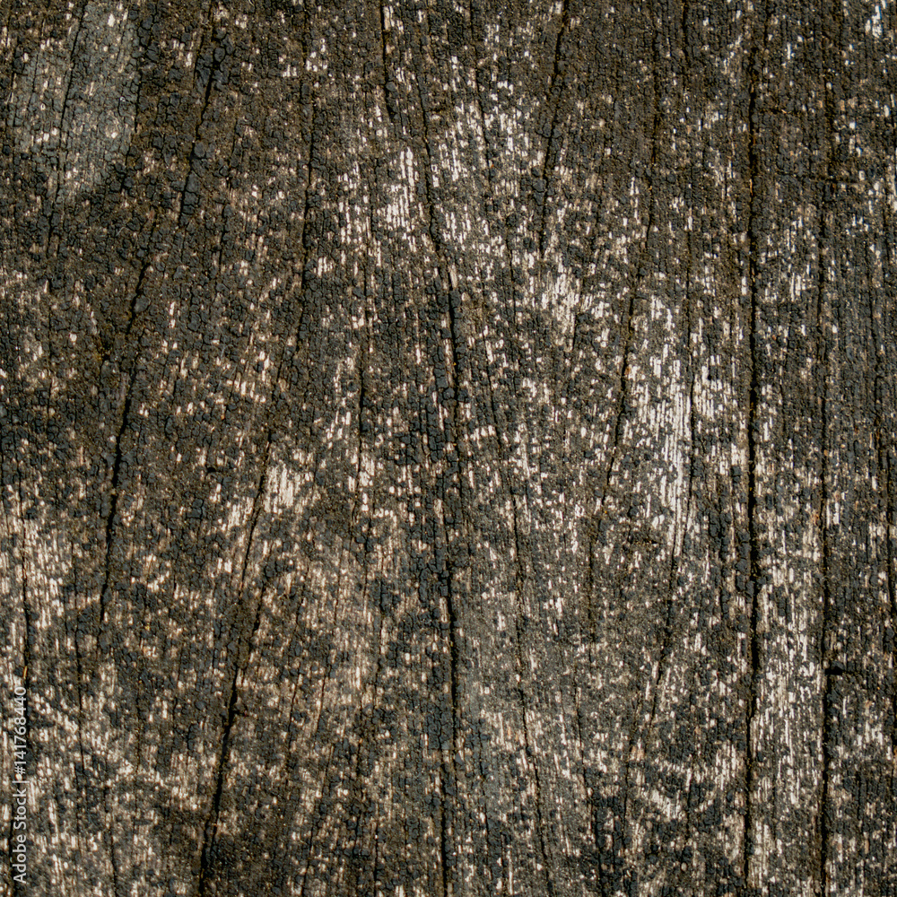 Obraz premium Wooden wall