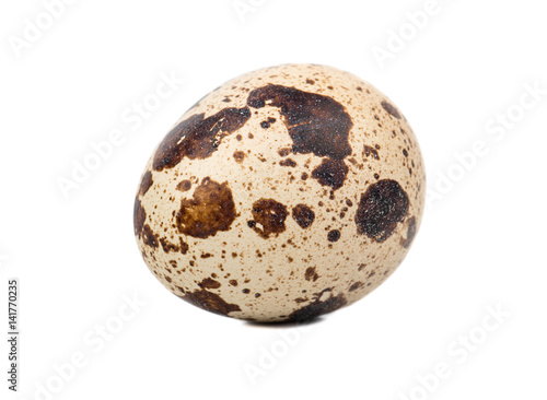 Spotted raw quail egg isolated on white background