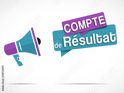 mégaphone : Compte de résultat