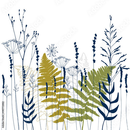 Floral vector background with hand drawn  dill or fennel flowers, lavender, f...