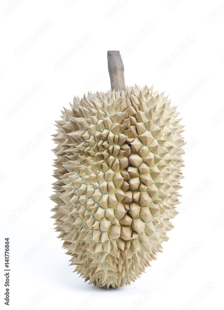 durian isolated on white durian isolated on white