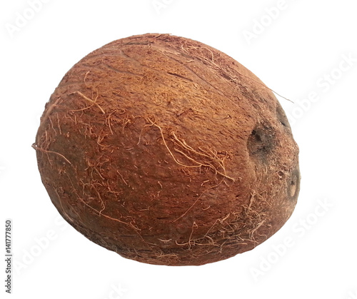 Tropical fruit coconut