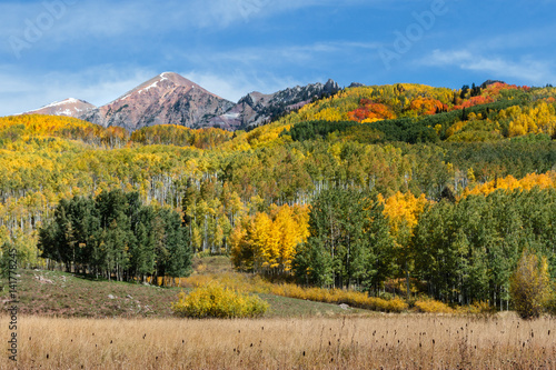 Autumn on Kebler Pass, Colorado