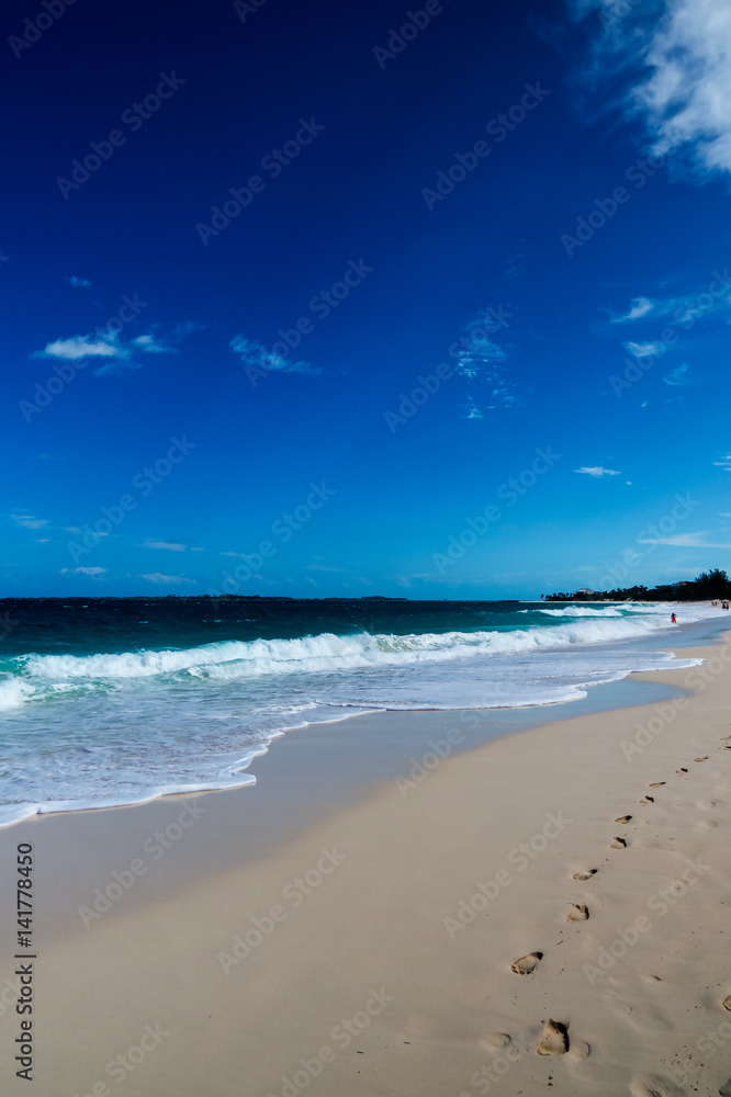 Obraz premium A simple vertical photo of a tropical beach and the ocean. New Providence, Nassau, Bahamas.