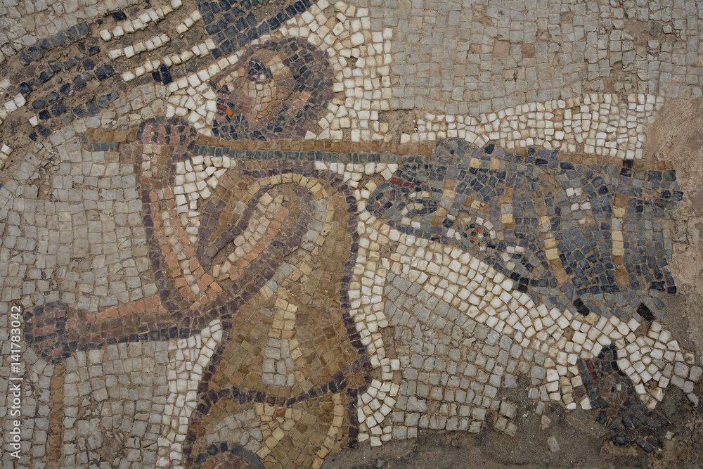 Bulla Regia / Mosaïque / Tunisie Bulla Regia / Mosaïque / Tunisie