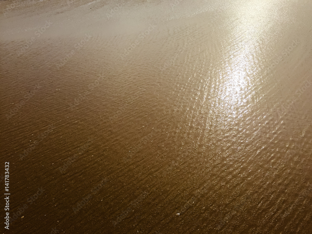 custom made wallpaper toronto digitalAbstract natural sandy beach closeup, seacoast background. Space surface for text