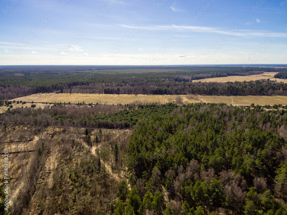 drone image. aerial view of rural area with fields and forests