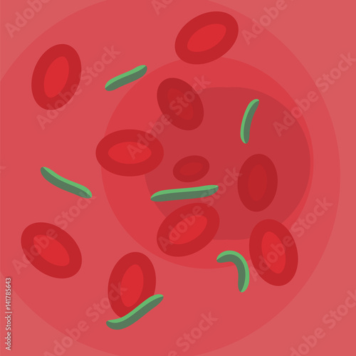 bloodstream with bacteria sepsis