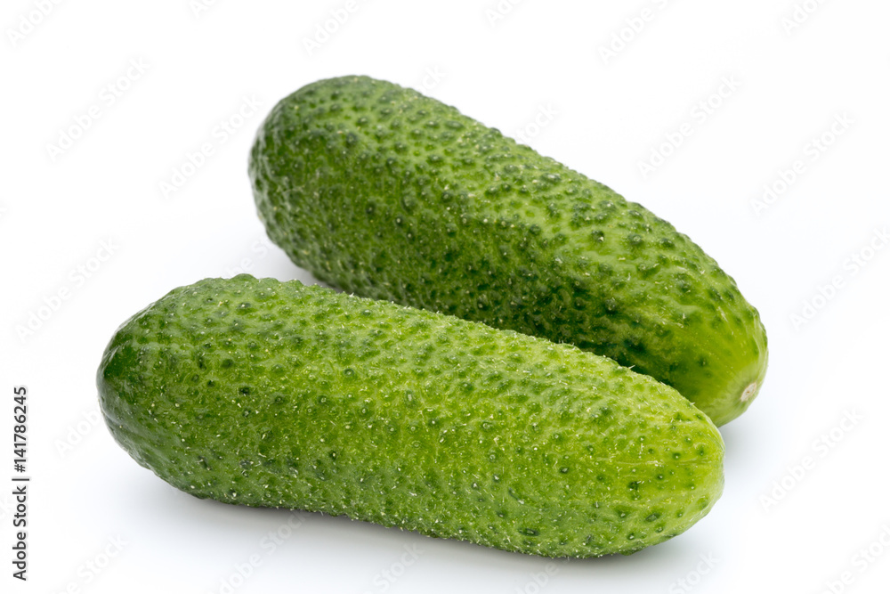 The first spring ecologically cucumbers. The first spring ecologically cucumbers.