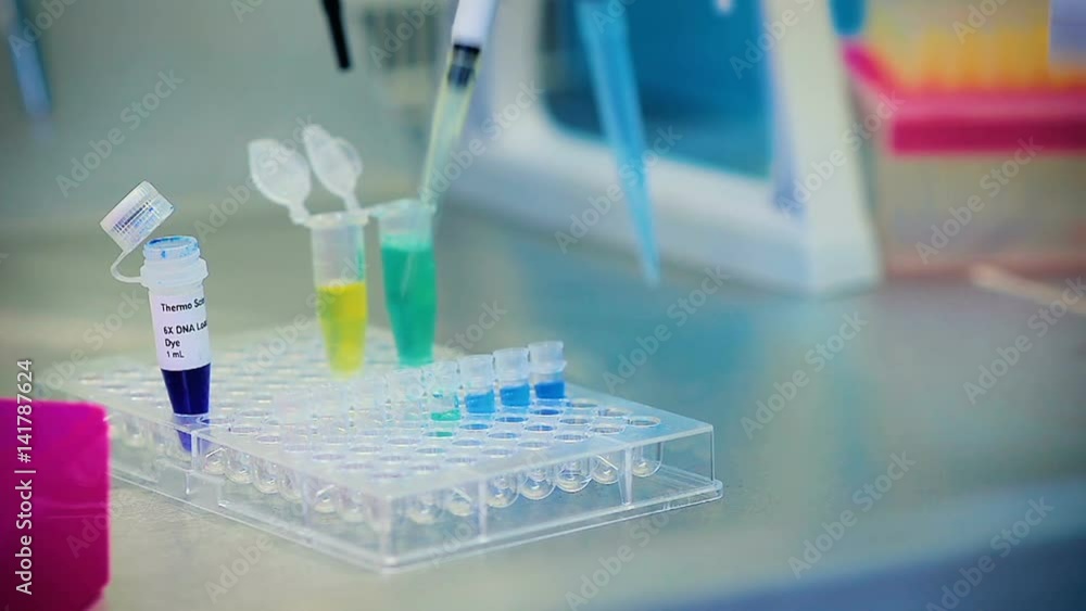 Scientist Makes Bio Analyzes of Viruses in the Laboratory Scientist Makes Bio Analyzes of Viruses in the Laboratory