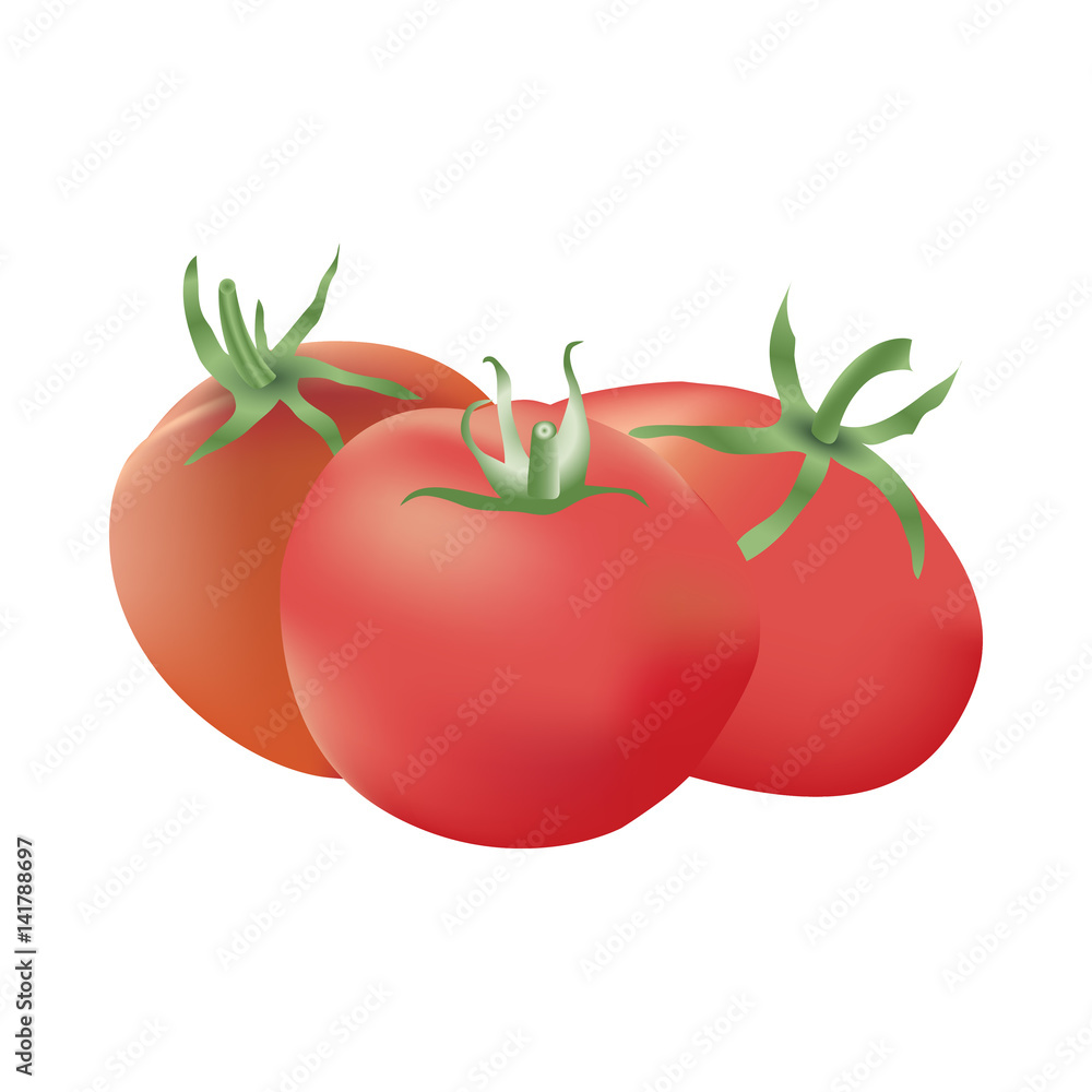 Group of three realistic tomatoes isolated on a white background. Harvest festival card. Autumn gifts. Group of three realistic tomatoes isolated on a white background. Harvest festival card. Autumn gifts.