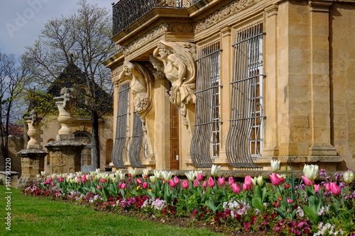 Pavillon de Vendôme au printemps. Tulipes blanches et roses. Aix-en-Provence. France.