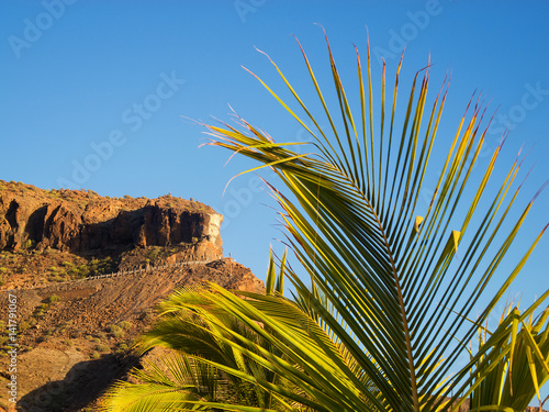 Typical landscape of Gran Canaria (Canary Islands, Spain) with palm tree in foreground. The mountains in the background include the route GC-500 with a dangerous curve near Taurito & Puerto de Mogan. photo