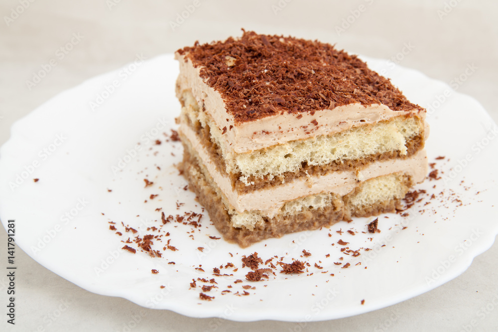 Piece of biscuit cake on white plate Piece of biscuit cake on white plate