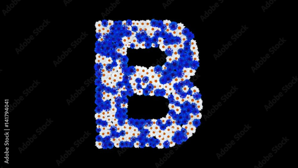 Letter B made of cornflowers and white daisy flowers with alpha channel Letter B made of cornflowers and white daisy flowers with alpha channel