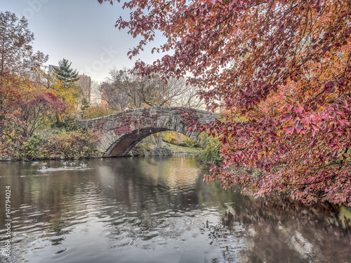 Gapstow bridge Central Park, New York City autumn photo