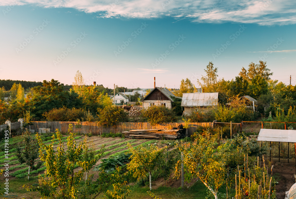 Vegetables Growing In Raised Beds In Vegetable Garden Vegetables Growing In Raised Beds In Vegetable Garden