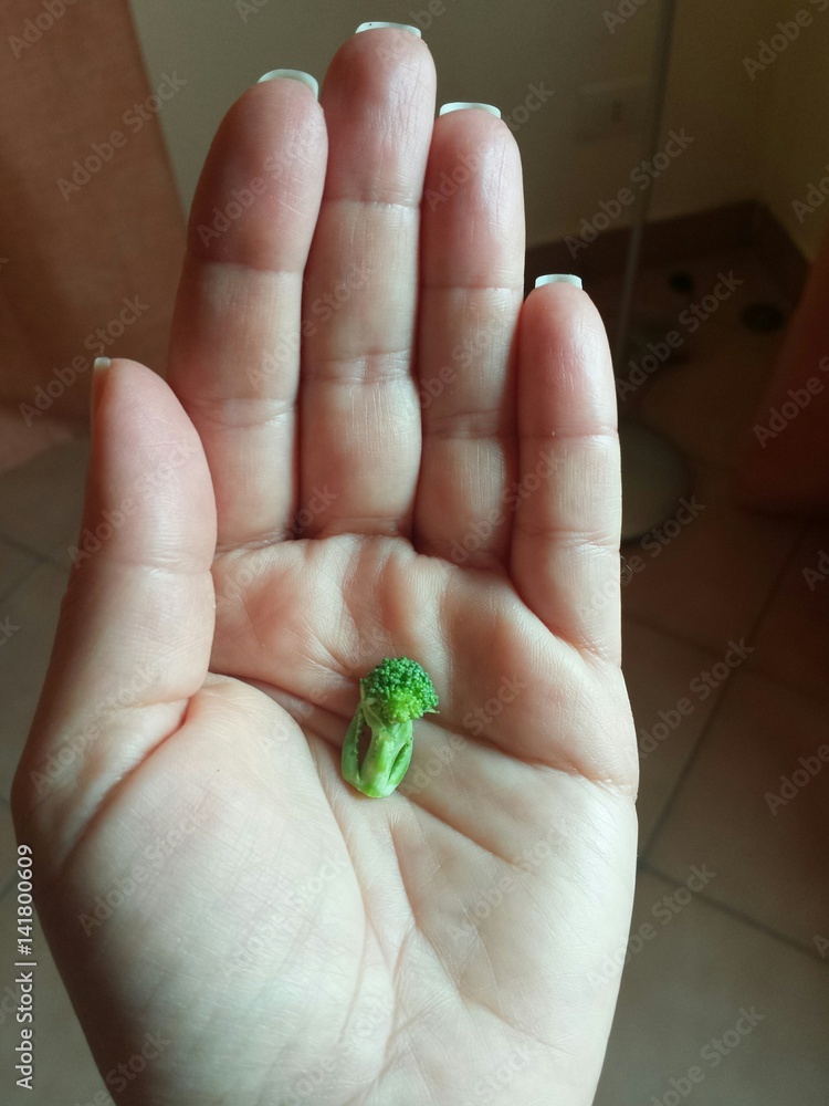 Piccoli vegetali Piccoli vegetali