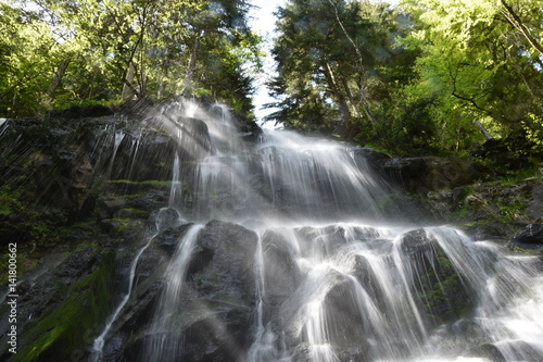 Fototapeta Naklejka Na Ścianę i Meble -  Zweribach Wasserfälle Schwarzwald, Wasserfall
