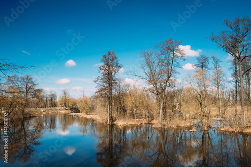 Spring Nature. Trees Woods Standing In Water During A Spring Flood