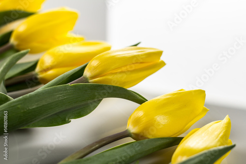 Tulips and eggs on golden wood, easter theme