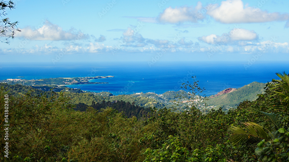 Caribbean sea - Grenada island - Saint George's - Grand Anse and Devils bay - Grand Etang National Park