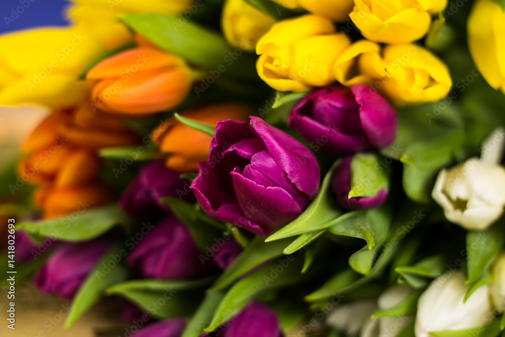 Tulips on golden wooden desk. place for typography Tulips on golden wooden desk. place for typography
