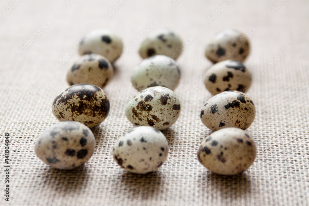 Obraz premium Quail eggs
