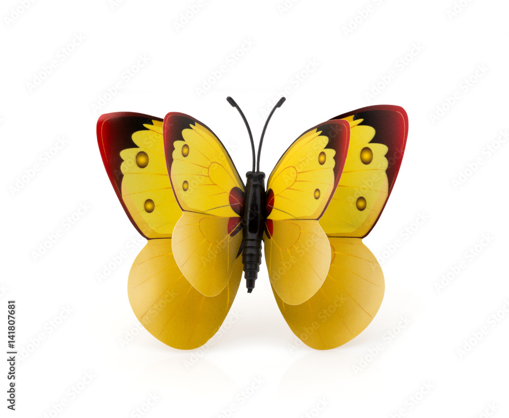 Beautiful yellow butterfly on a white background Beautiful yellow butterfly on a white background