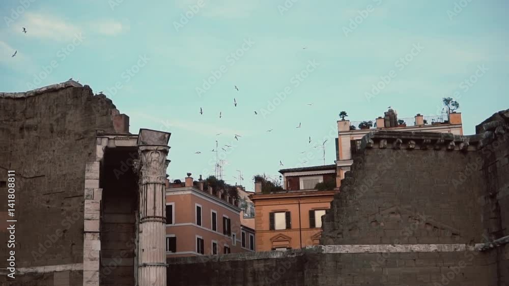 View to the old town ruins and birds on the background. Historical excavation. View to the old town ruins and birds on the background. Historical excavation.