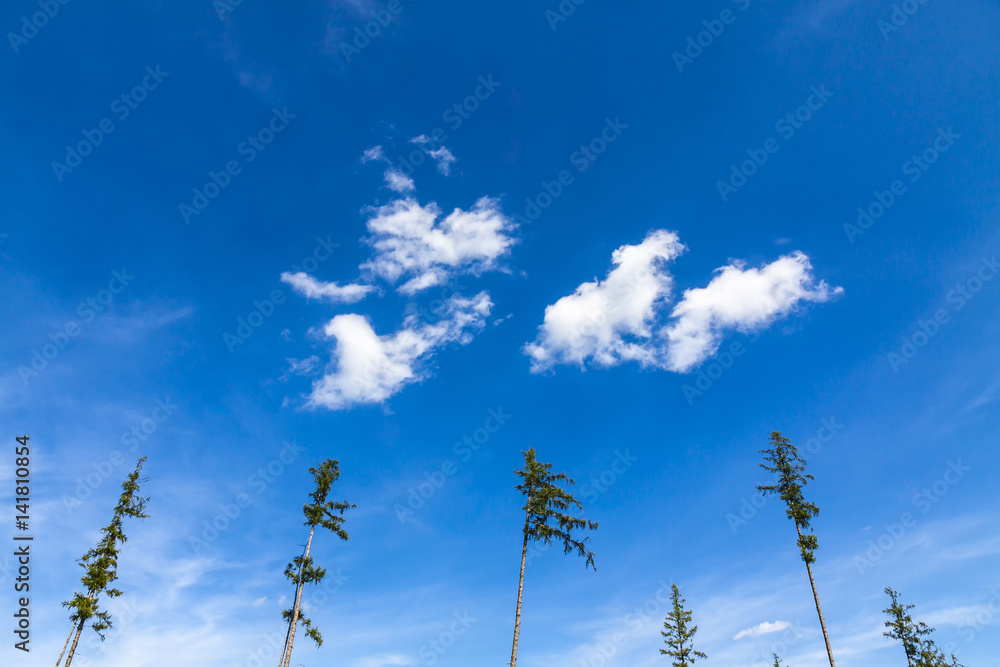 Blue sky background with white tiny clouds Blue sky background with white tiny clouds