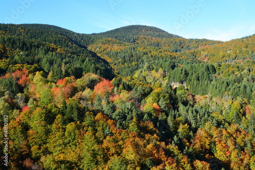 Photos Paysage d'automne dans les Pyrénées audoises, Occitanie dans le sud de la France