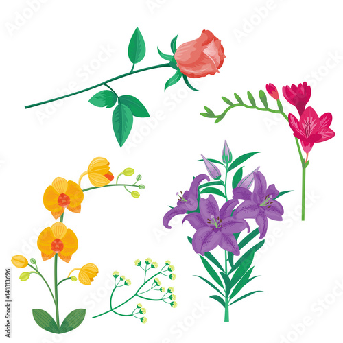 Cartoon petal vintage floral vector bouquet garden flower botanical natural p...