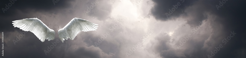 Angel wings with stormy sky background Angel wings with stormy sky background