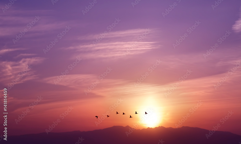 Sunrise with flying birds