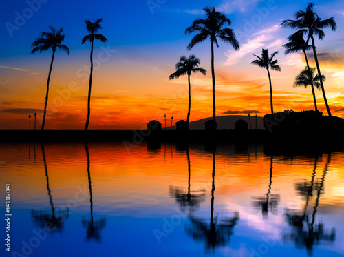 Fototapeta Naklejka Na Ścianę i Meble -  blue orange sunset with palm trees
