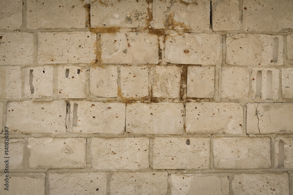 Old big brick background and texture