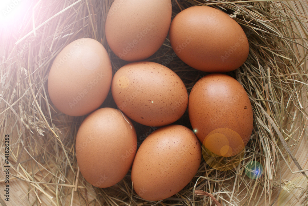 Easter eggs on hay Easter eggs on hay