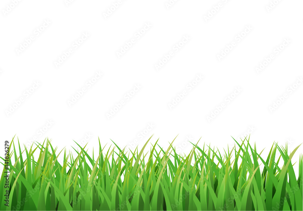 Fototapeta premium Easter grass border. Vector design isolated on white