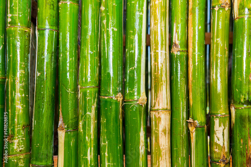 Bamboo background and texture