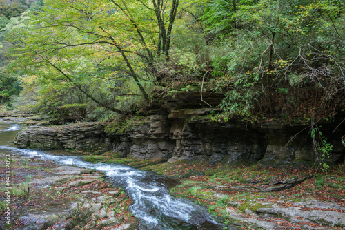 Stream Flowing Through Rocks in forest.