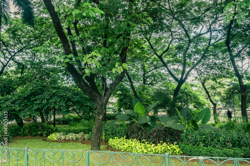 Beautiful green city park with various kind of plant and flower surrounding by green fence photo taken in Jakarta Indonesia